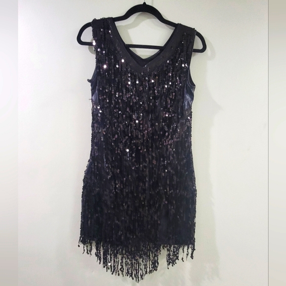 🎀CLEARANCE🎀 20's Flapper Girl dress stretchy dress with tassels of sequins. - Picture 4 of 6